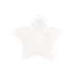 Clear Quartz Crystal Star in a Bag